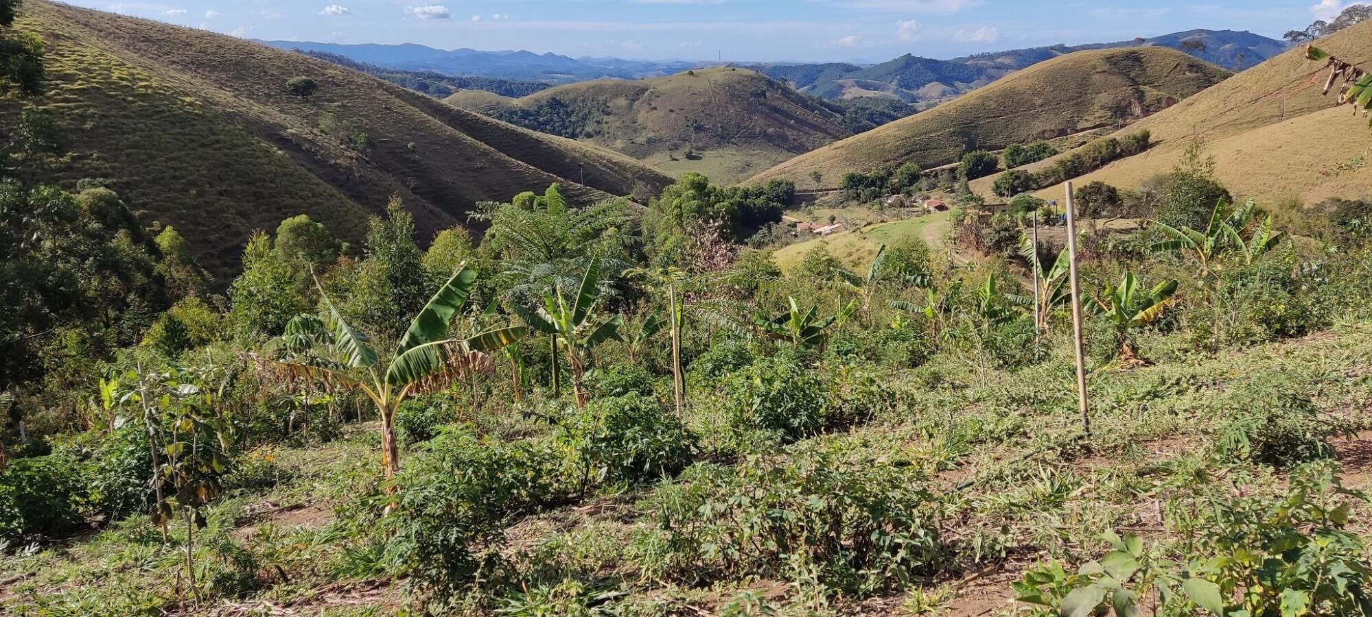 monitoramento de restauração ecológica com Akarui