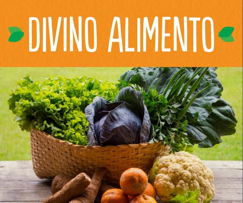 comercialização de produtos agroecológicos em cestas com Akarui